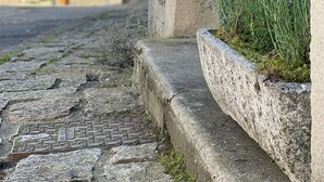 Una estrecha calle adoquinada con edificios de piedra, una puerta azul y plantas de lavanda en una maceta.