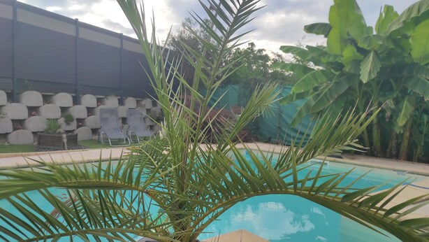 Un área de piscina con una planta de palmera en primer plano, una pared de piedra con macetas al fondo y un cielo despejado.