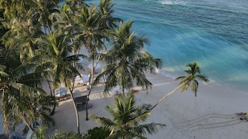 Una playa con palmeras, una orilla arenosa y un océano azul cristalino.