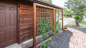 A wooden fence with climbing plants, a brown garage door, and a brick pathway. - Zilker Park, Town lake, and Barton Springs pool (Austin)