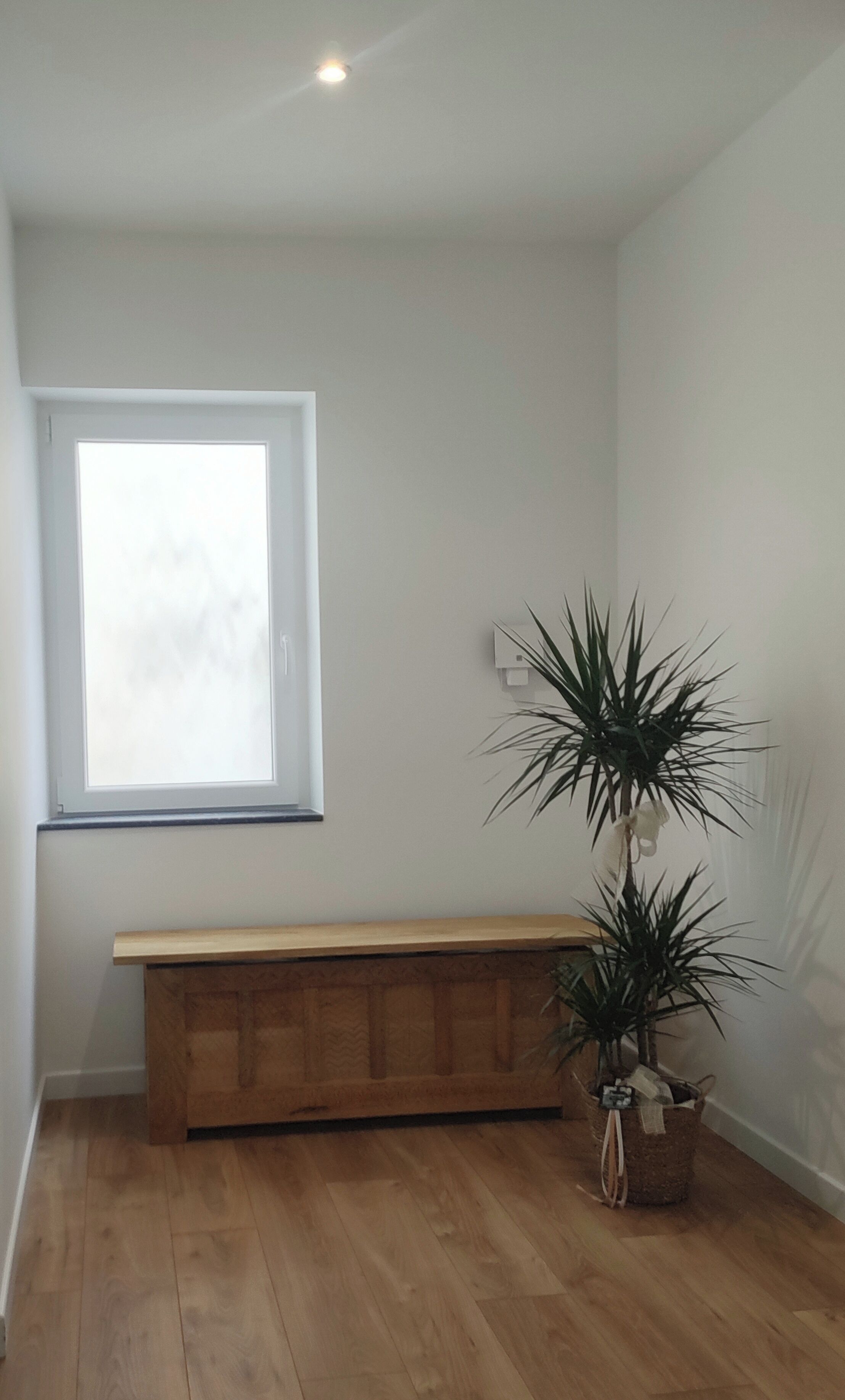 Una habitación con un banco de madera, una planta en maceta y una ventana con persianas.