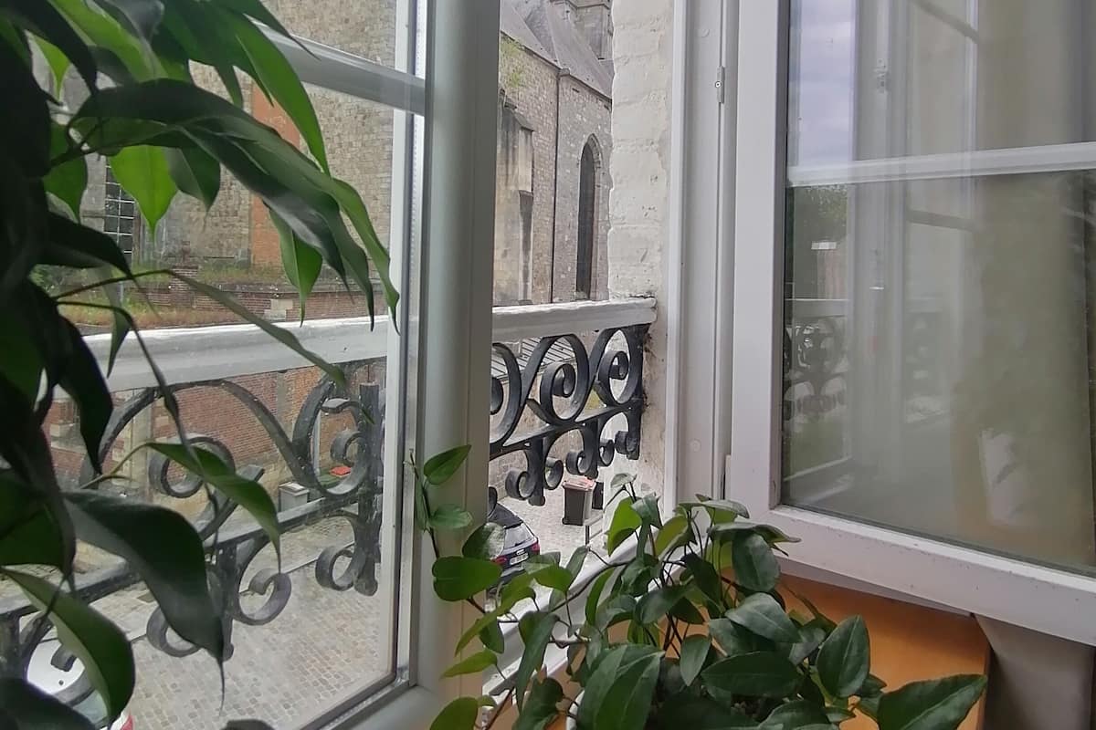 A room with a large window overlooking a historic building, a balcony with decorative iron railings, and a potted plant in the foreground.