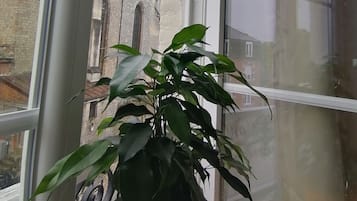 Economy Double or Twin Room, City View