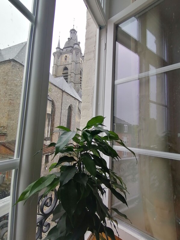 A view through a window with a potted plant in the foreground, a balcony railing, and a historic building with a clock tower in the background.