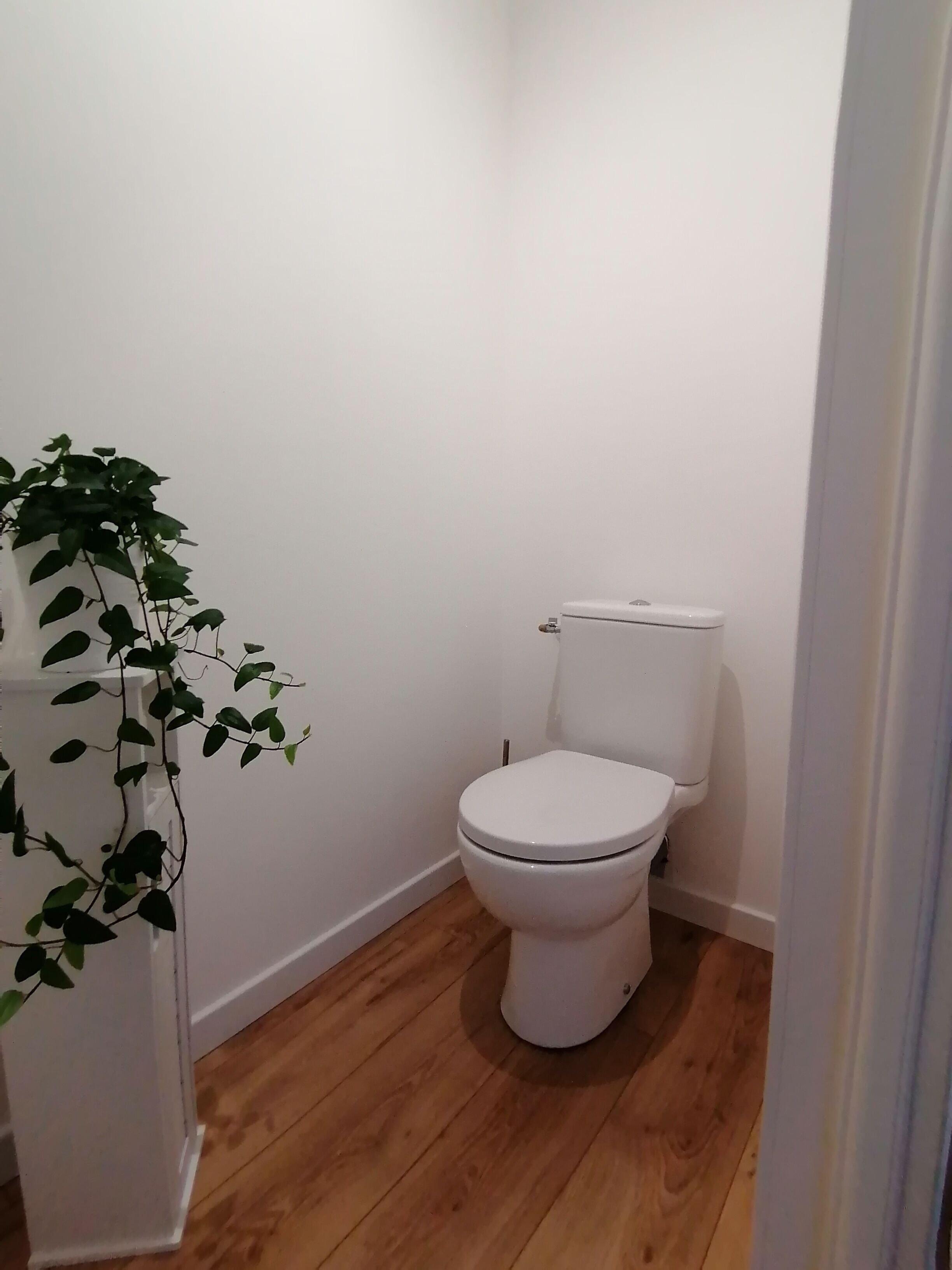 Un baño pequeño y limpio con inodoro blanco, suelo de madera y una planta en maceta.