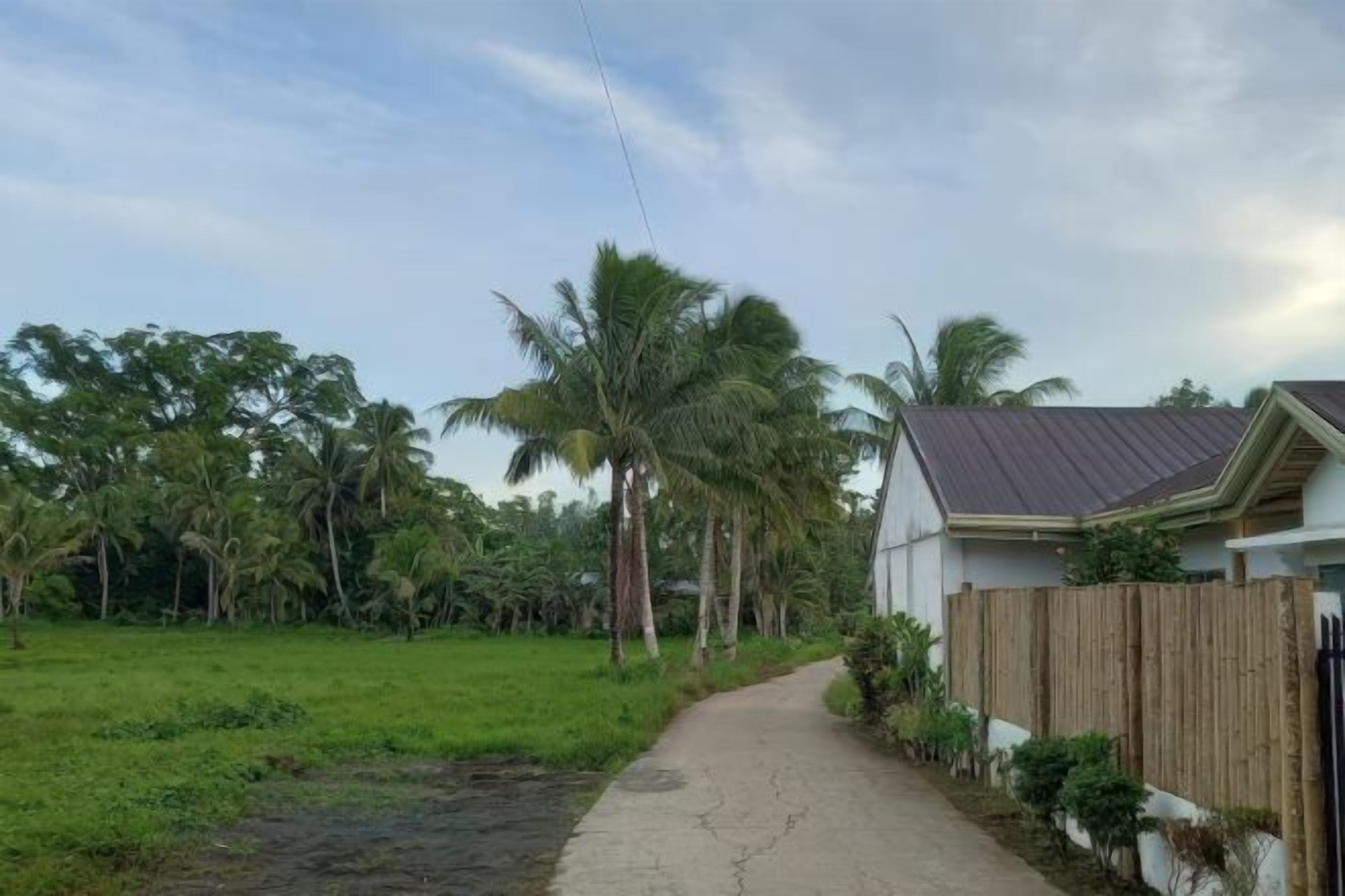 Utsikt fra overnattingsstedet