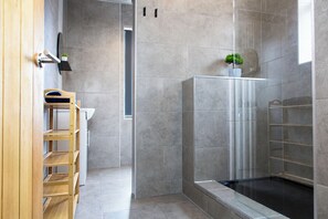Shower, eco-friendly toiletries, hair dryer, towels
