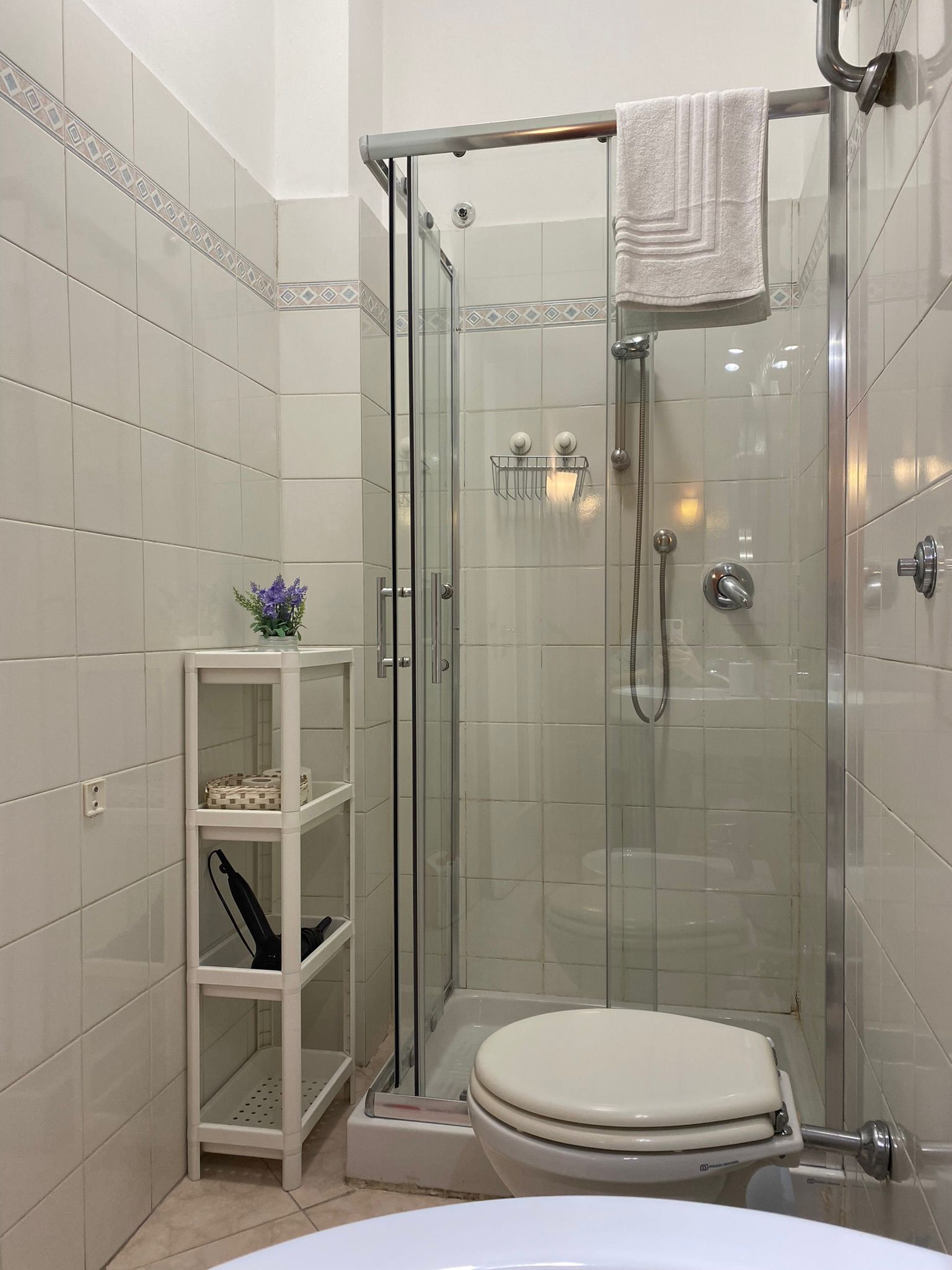 Haartrockner, Bidet, Handtücher, Seife