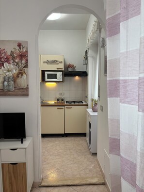 Fridge, microwave, stovetop, coffee/tea maker