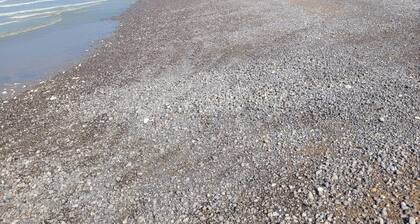 GĂźte de charme Pays de Caux Normandie Ă 20 minutes de la CĂŽte.