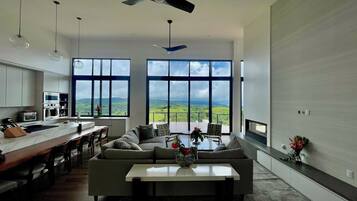 Smart TV, chimenea, reproductor de DVD y libros