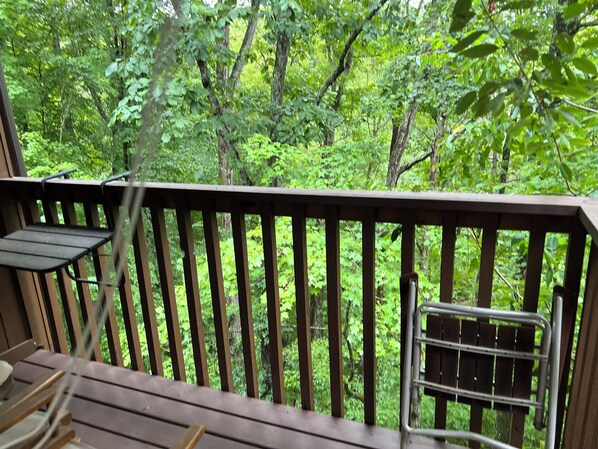 Una terraza de madera con barandilla metálica, que da vista a un bosque frondoso.