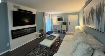 Fully Furnished 2-bedroom condo in charming Chapel Hill - Travel Nurse Friendly!