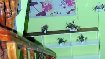 A staircase with wooden handrails and a wall with shelves holding potted plants.