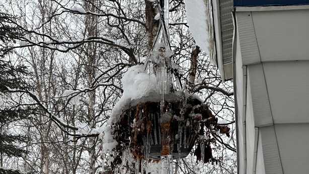 Un quartier résidentiel enneigé avec une maison, des arbres et des glaçons pendants d’une branche.