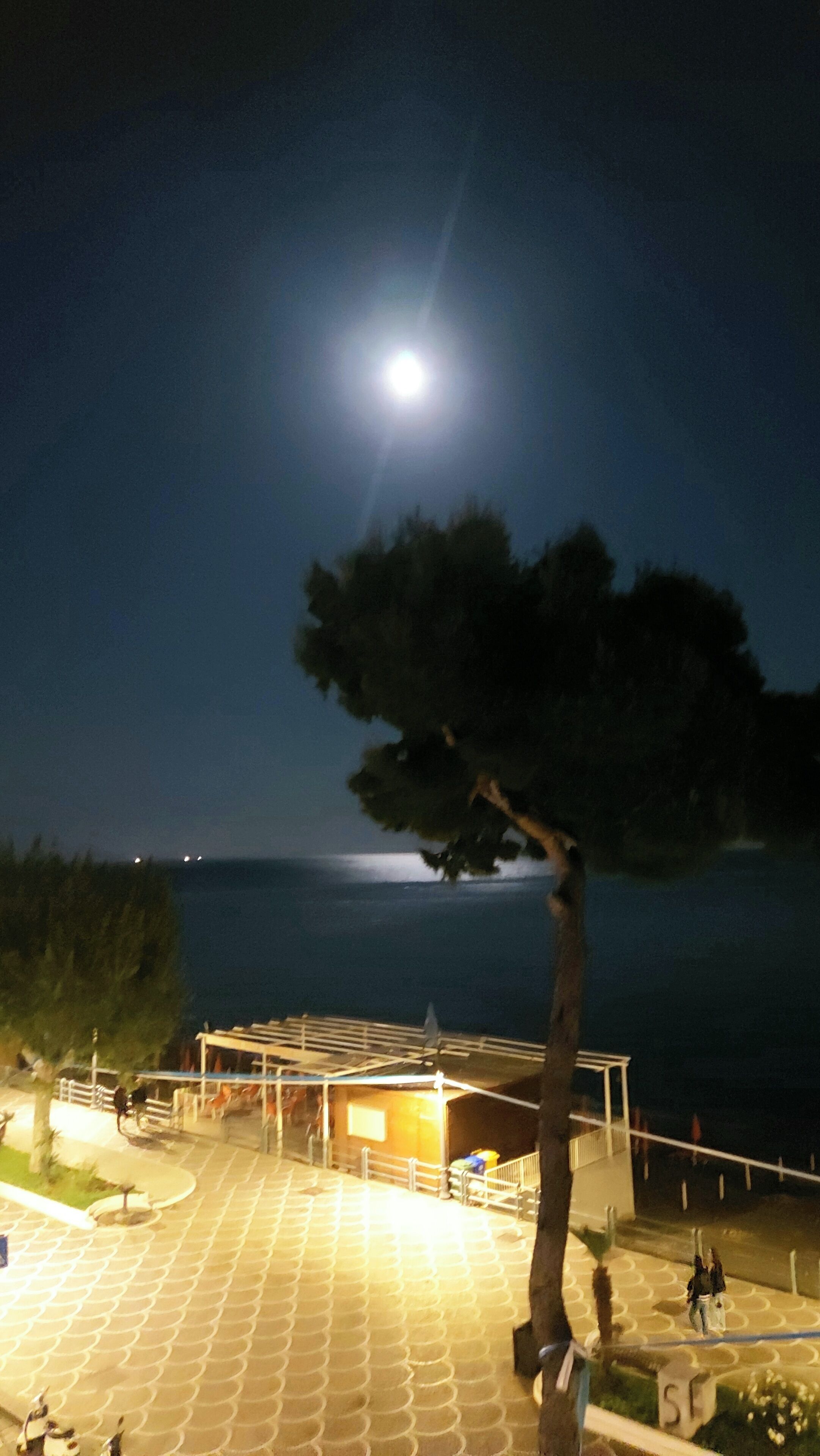 A nighttime view of a coastal area with a prominent tree in the foreground, a building with a tiled roof, and a body of water in the background.
