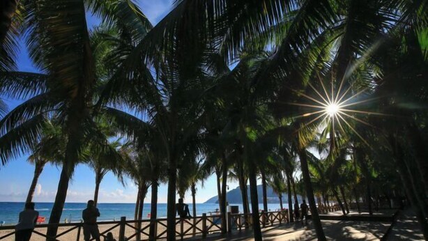 A beach with palm trees and a wooden walkway. - Xinxing Garden Hotel (Sanyawan) (Sanya)