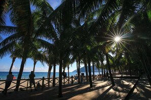 Ein Strand mit Palmen und einer Holzstege.