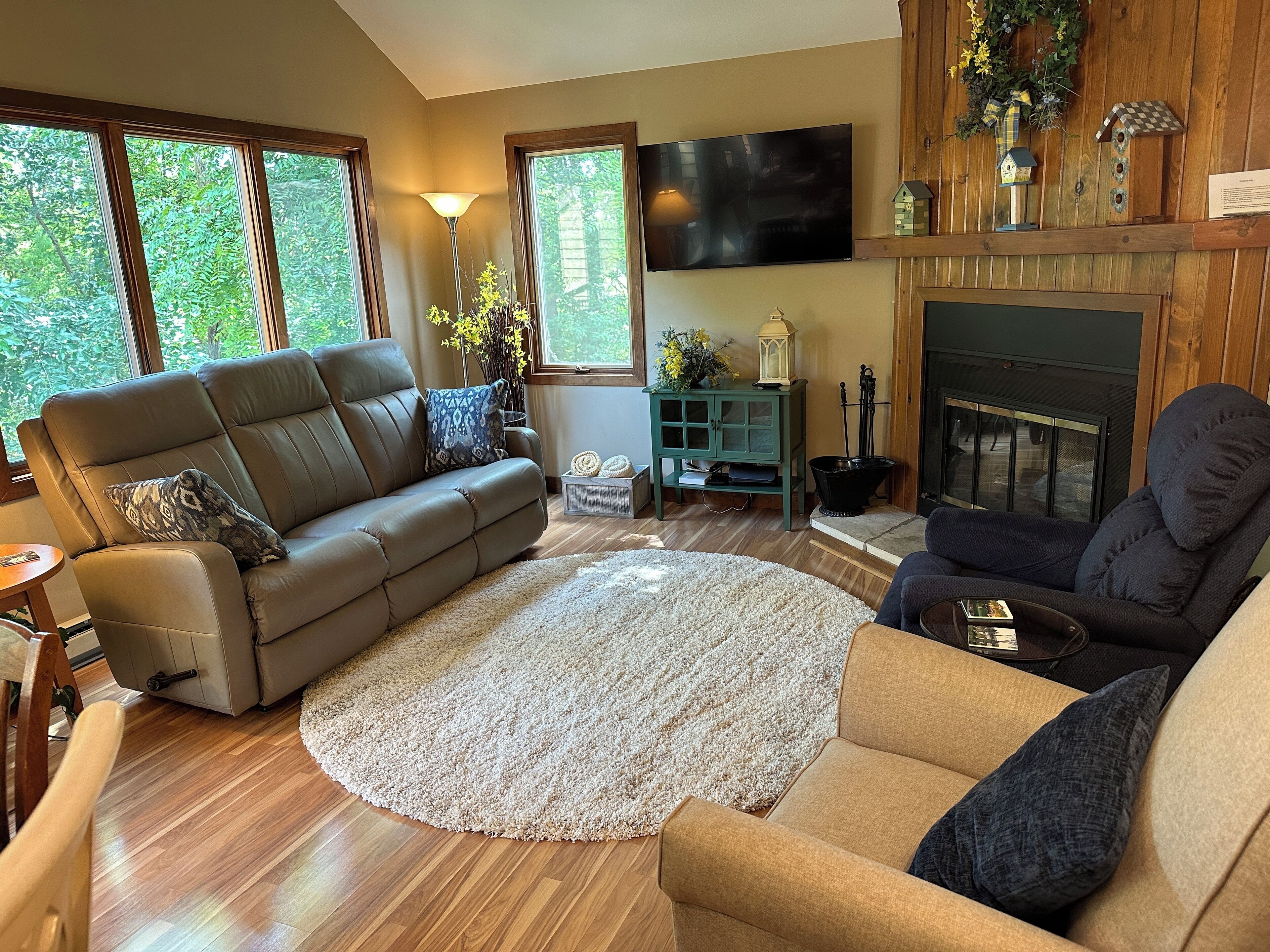 Una Smart TV, una chimenea, libros