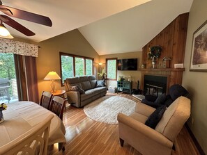 Smart TV, fireplace, books