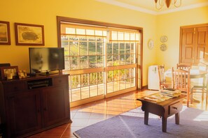 تلفزيون ذكي، مدفأة، ألعاب فيديو