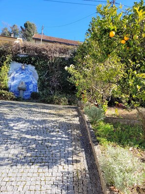 المنطقة المحيطة بالمنشأة