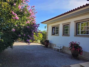 المنطقة المحيطة بالمنشأة