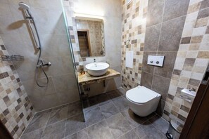 Standard Double Room - City Plaza (Botevgrad)