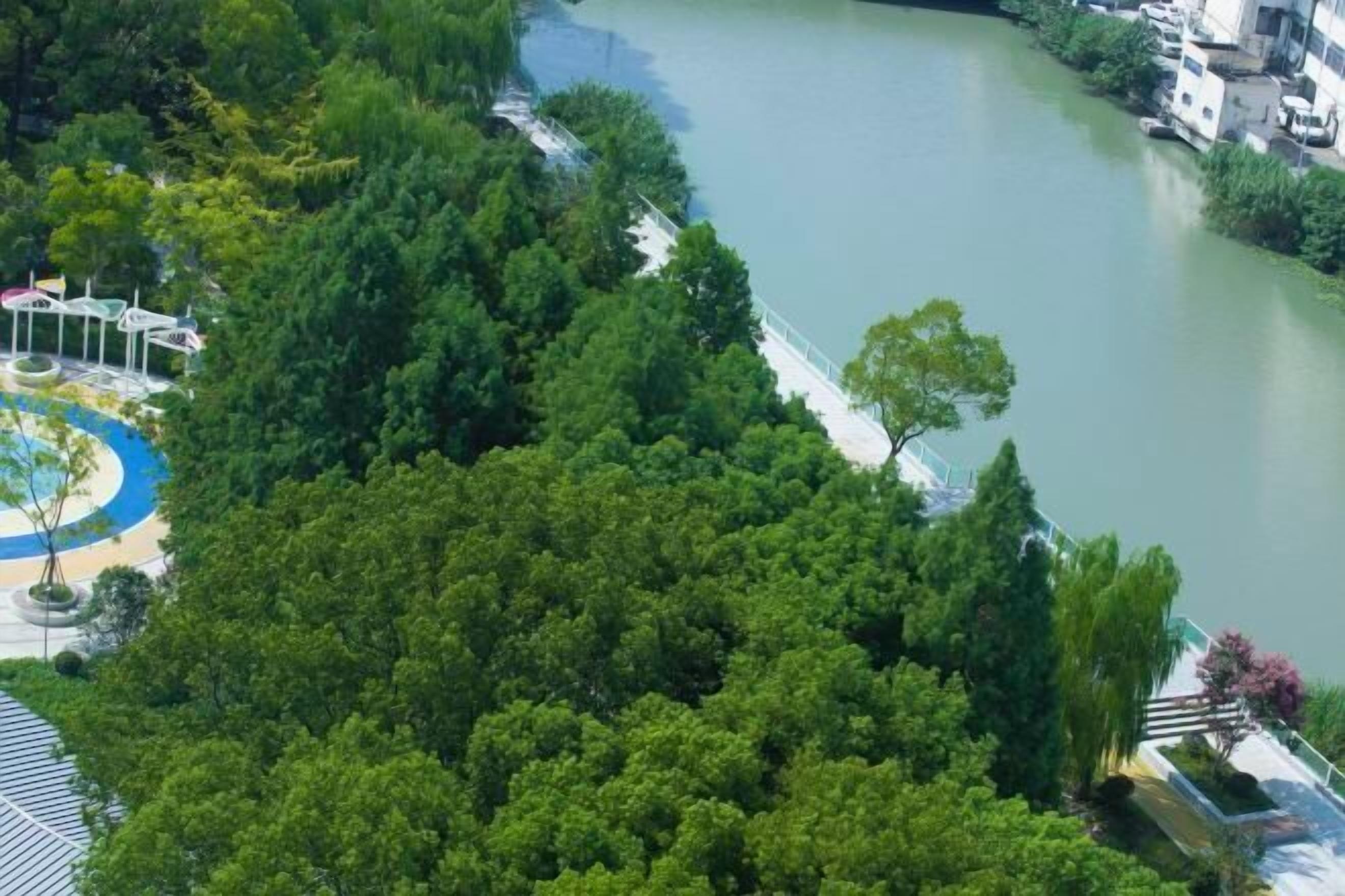 Hồ bơi