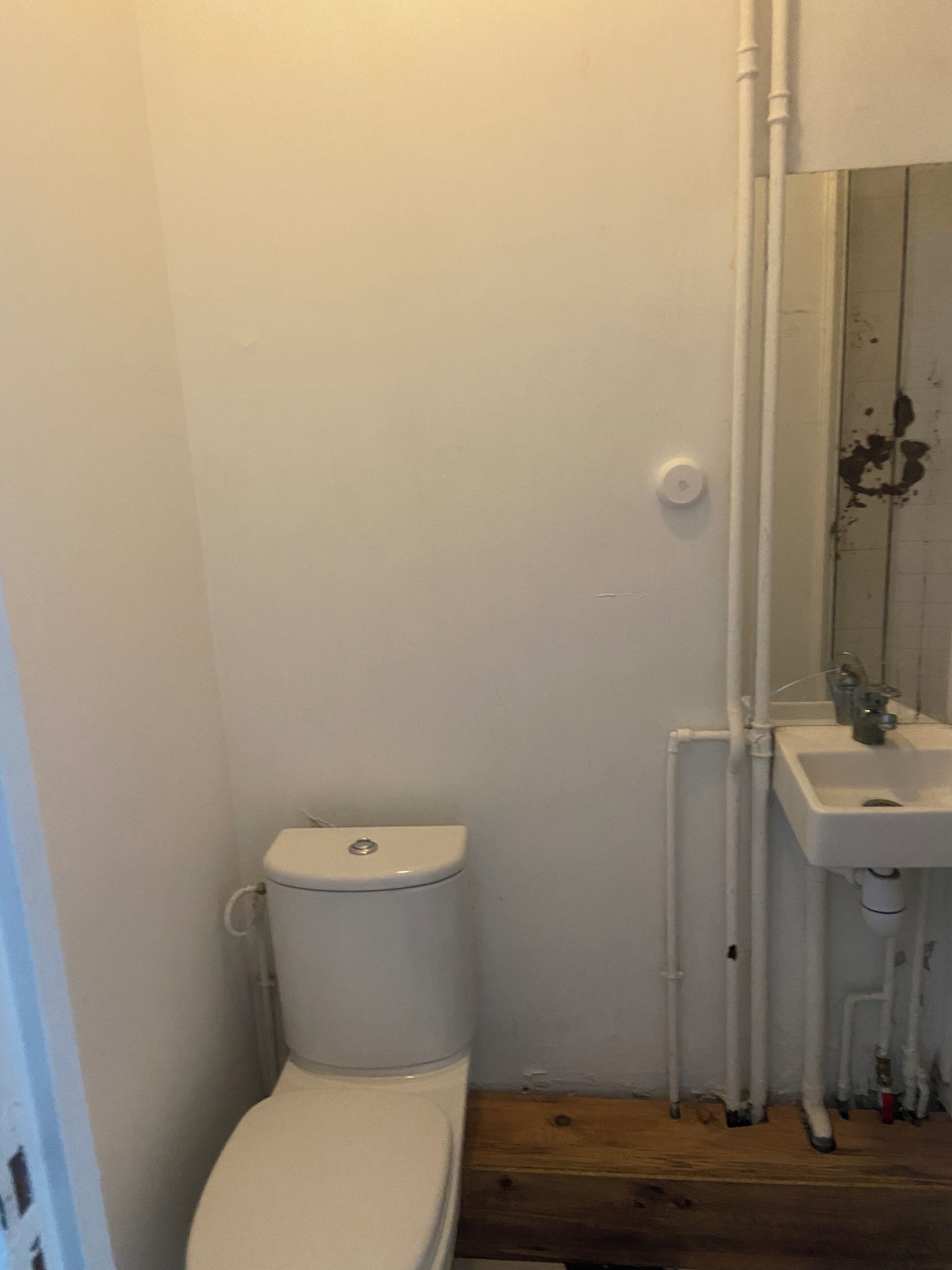 Een kleine badkamer met toilet, wastafel en spiegel.