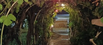 Charming 2-bedroom bed & breakfast in marvelous Salt Lake City. History. Unique.