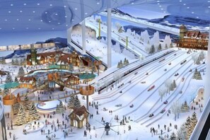 Thể thao tuyết và trượt tuyết