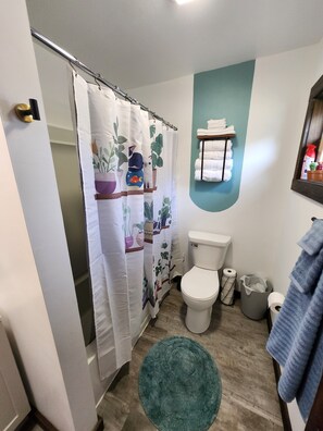 Hair dryer, towels, soap, shampoo