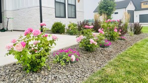 A modern house with a stone facade, large windows, and a well-maintained garden with pink roses and other plants.