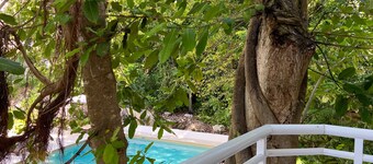 Luxury Maya Riviera Akumal Jungle Retreat 2 BR - Pool - Balcony - Gated Resort 