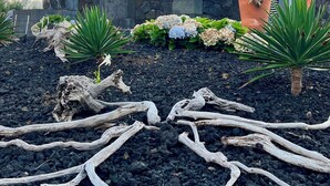 Een stenen huis met rode luiken, een tuin vol tropische planten en een rotsachtige ondergrond.