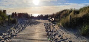 Beach nearby, sun loungers