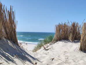 Beach nearby, sun-loungers