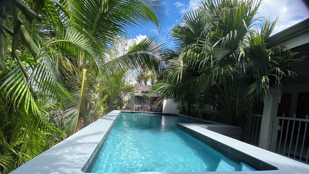 Una piscina rectangular con agua azul cristalina, rodeada de exuberantes palmeras y un muro de piedra al fondo.