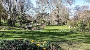 A park with a grassy area, trees, and a building in the background. - Room in Montmartre with privat bathroom (Paris)