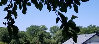 Charming 2-bedroom cottage in serene Kent with AC, WiFi