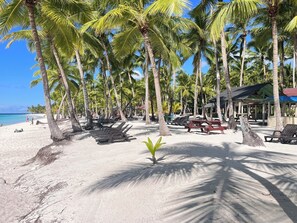 A beach with rows of sun loungers, palm trees, and a covered seating area.