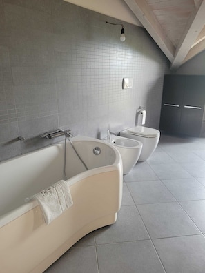 Shower, hair dryer, bidet, towels