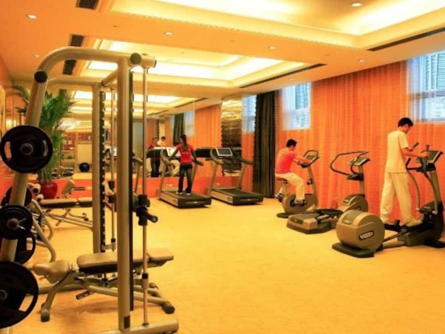 A gym with treadmills, ellipticals, and weight machines.