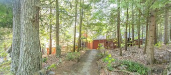 Beautiful 2 bdrm cottage with fireplace and a view in Minden Hills-Pet Friendly!