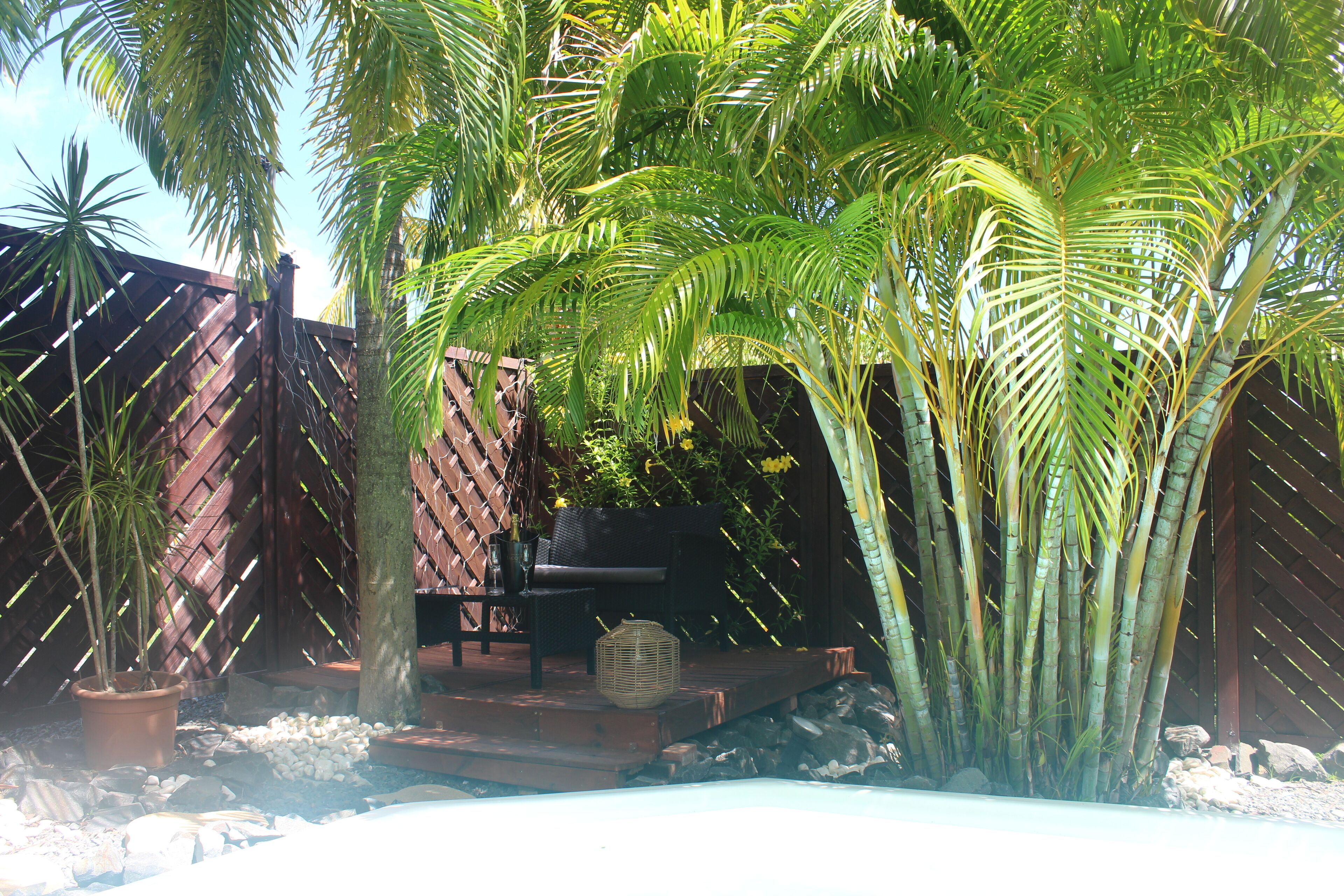 A wooden deck with a bench and a potted plant.