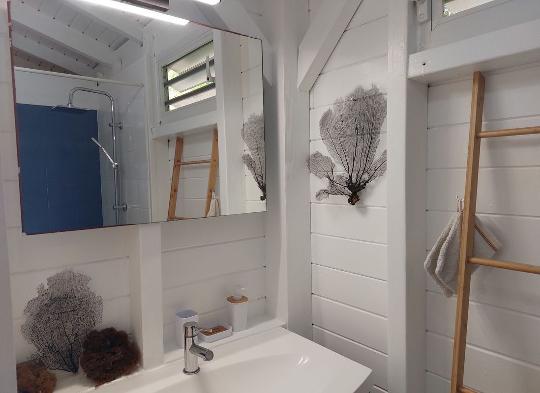Dusche, umweltfreundliche Kosmetikartikel, Haartrockner, Handtücher