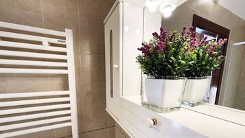 Shower, hair dryer, towels