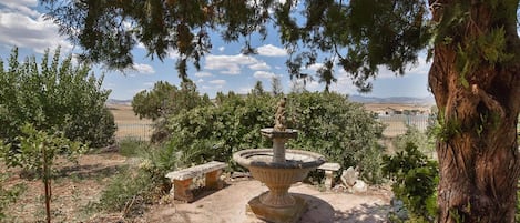 Terrazza/patio