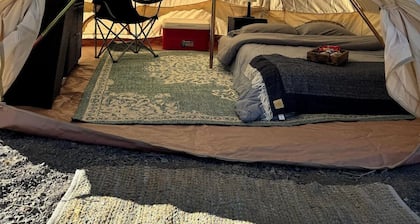 Desert Oasis Queen Suite